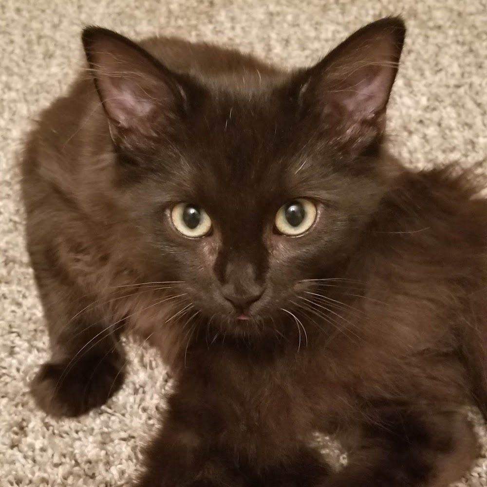 Meet your Posher, Jeremy